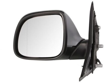 Volkswagen Buitenspiegel 5402012002665P