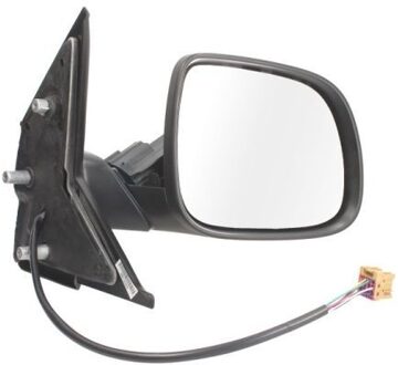 Volkswagen Buitenspiegel 5402012002666P