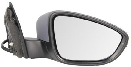 Volkswagen Buitenspiegel 5402012002674P