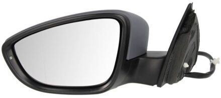 Volkswagen Buitenspiegel 5402012002675P