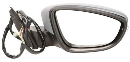 Volkswagen Buitenspiegel 5402012002676P