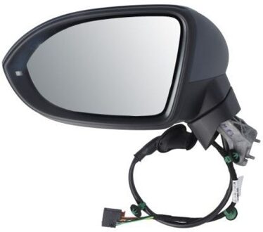 Volkswagen Buitenspiegel 5402012002679P