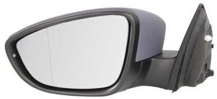 Volkswagen Buitenspiegel 5402012002691P