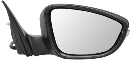 Volkswagen Buitenspiegel 5402012002694P