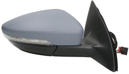 Volkswagen Buitenspiegel 5402012002696P