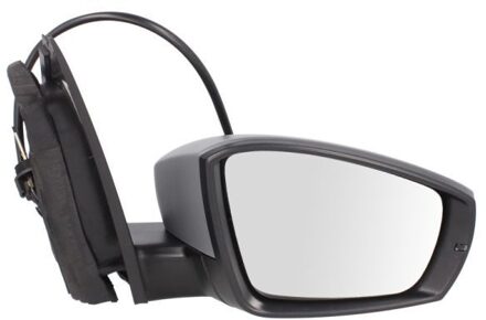 Volkswagen Buitenspiegel 5402012002702P