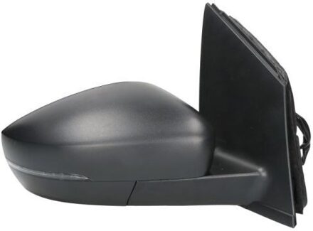 Volkswagen Buitenspiegel 5402012002704P