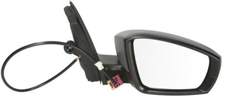 Volkswagen Buitenspiegel 5402012002708P