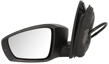 Volkswagen Buitenspiegel 5402012002709P