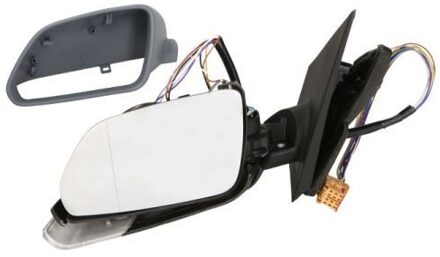 Volkswagen Buitenspiegel 5402012002715P