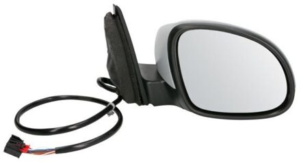 Volkswagen Buitenspiegel 5402012002724P
