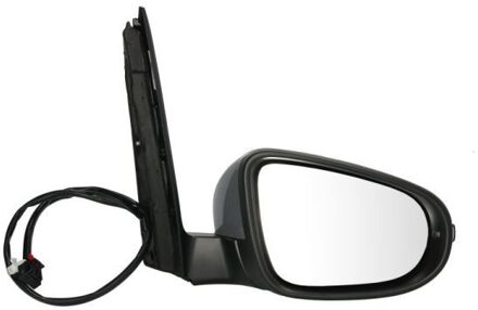 Volkswagen Buitenspiegel 5402012002734P