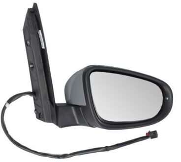 Volkswagen Buitenspiegel 5402012002740P