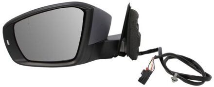 Volkswagen Buitenspiegel 5402012151310P