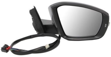 Volkswagen Buitenspiegel 5402012151313P