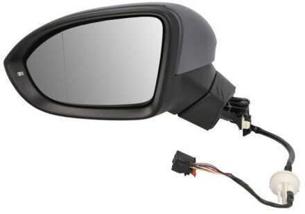 Volkswagen Buitenspiegel 5402012297310P