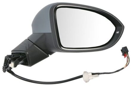 Volkswagen Buitenspiegel 5402012297311P