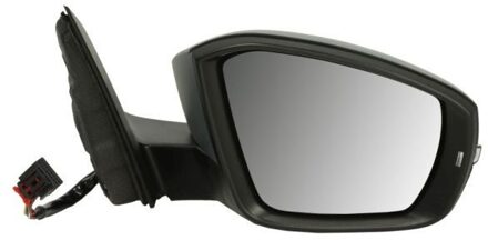 Volkswagen Buitenspiegel 5402012339311P