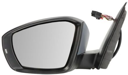 Volkswagen Buitenspiegel 5402012339312P