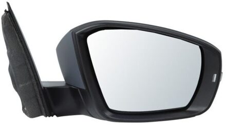 Volkswagen Buitenspiegel 5402012339315P