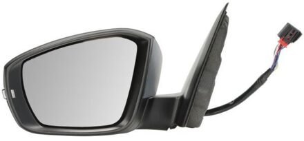 Volkswagen Buitenspiegel 5402012339316P