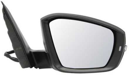 Volkswagen Buitenspiegel 5402012339317P