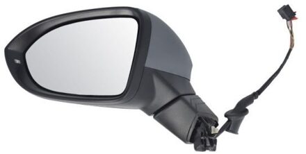 Volkswagen Buitenspiegel 5402012526310P