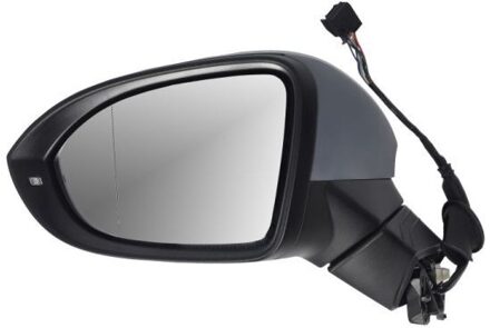 Volkswagen Buitenspiegel 5402012526312P