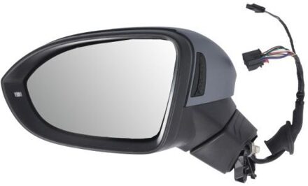 Volkswagen Buitenspiegel 5402012526314P