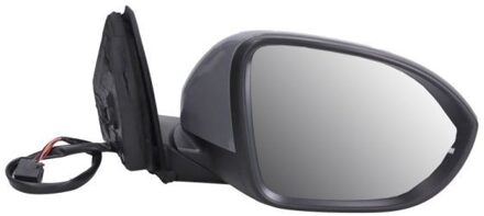 Volkswagen Buitenspiegel 5402012542311P