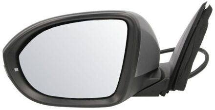 Volkswagen Buitenspiegel 5402012542312P