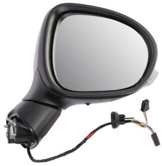 Volkswagen Buitenspiegel 5402012542313P