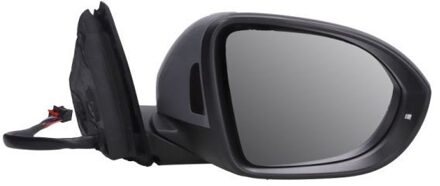 Volkswagen Buitenspiegel 5402012542315P