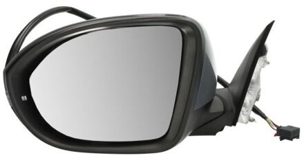 Volkswagen Buitenspiegel 5402012555310P