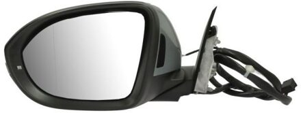 Volkswagen Buitenspiegel 5402012555314P