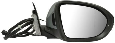 Volkswagen Buitenspiegel 5402012555315P