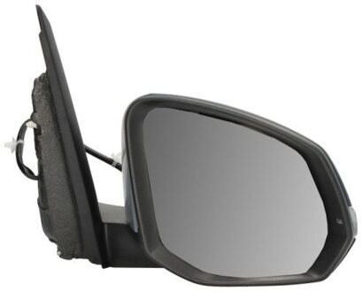 Volkswagen Buitenspiegel 5402012583311P