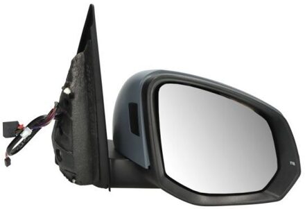 Volkswagen Buitenspiegel 5402012583313P