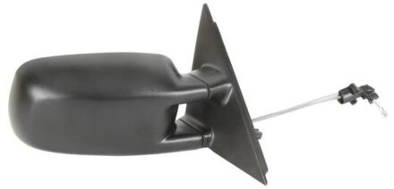 Volkswagen Buitenspiegel 5402041115113P