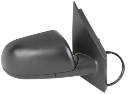 Volkswagen Buitenspiegel 5402041121119P