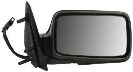 Volkswagen Buitenspiegel 5402041121125P