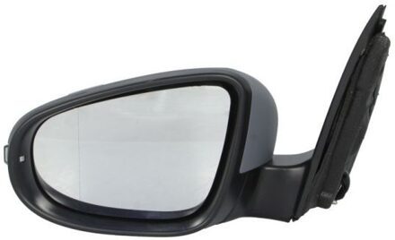 Volkswagen Buitenspiegel 5402041121589P