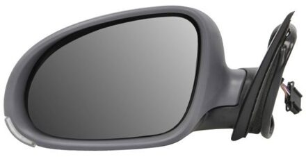 Volkswagen Buitenspiegel 5402041125118P