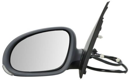 Volkswagen Buitenspiegel 5402041127127P