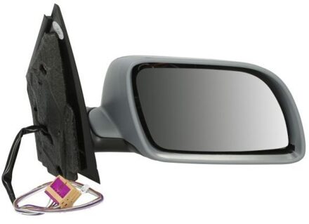 Volkswagen Buitenspiegel 5402041129119P