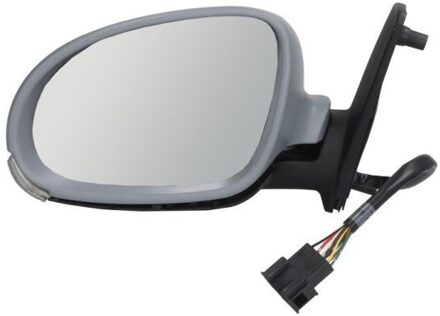 Volkswagen Buitenspiegel 5402041129891P