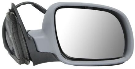 Volkswagen Buitenspiegel 5402041131111P