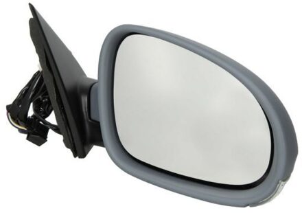 Volkswagen Buitenspiegel 5402041132118P