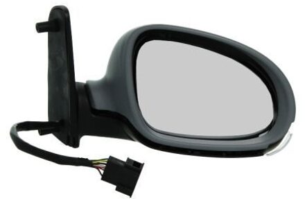 Volkswagen Buitenspiegel 5402041139891P