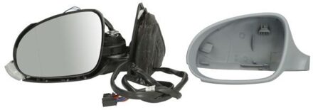 Volkswagen Buitenspiegel 5402041151118P